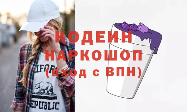 хмурый Белокуриха