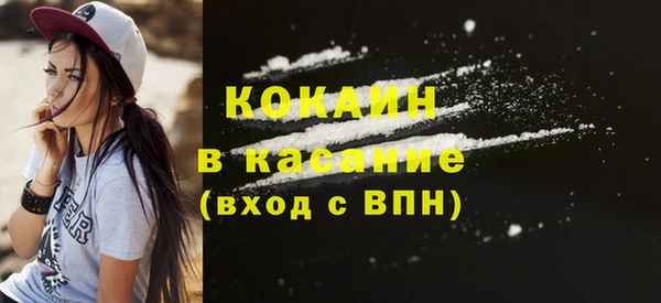 хмурый Белокуриха