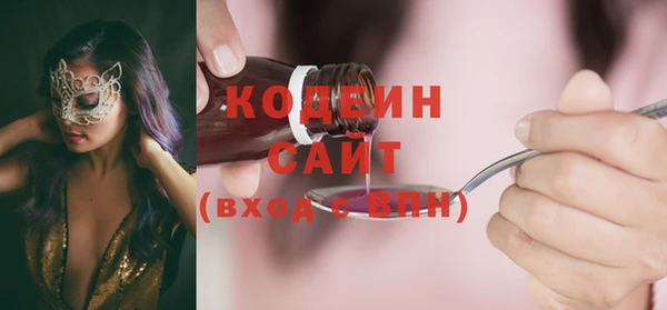 хмурый Белокуриха