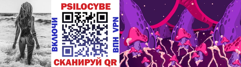 Псилоцибиновые грибы MAGIC MUSHROOMS Купить Чухлома